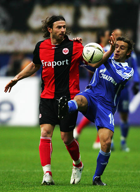 总的来说 总的来说